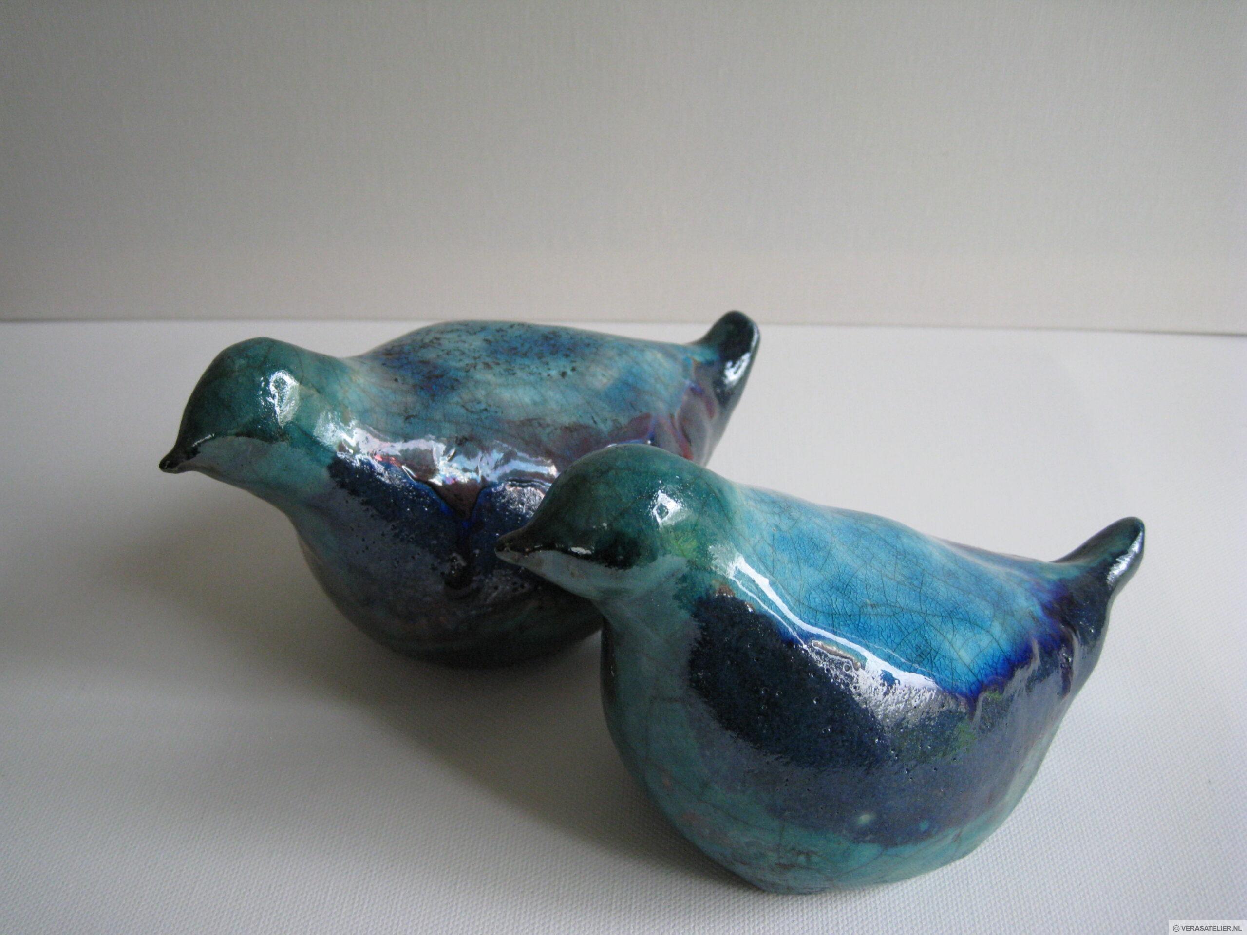 Vogels Twee Blauwtjes Vogels Twee Blauwtjes