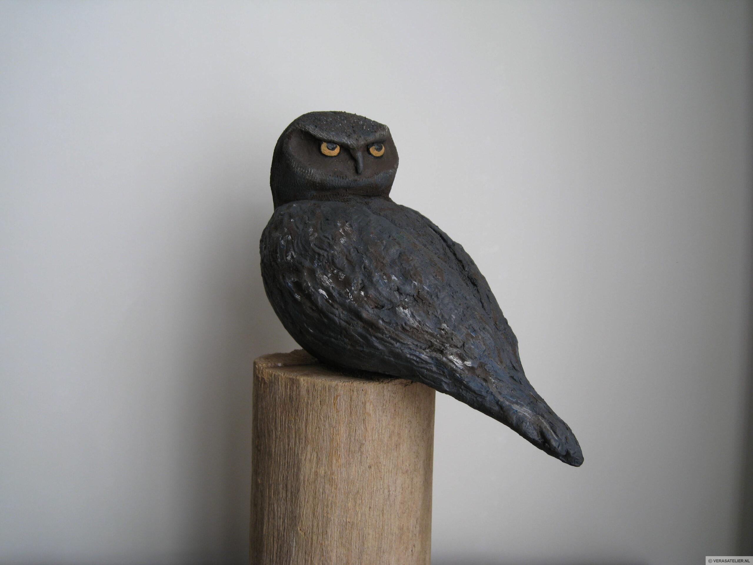 Uil Dark Night Uil Dark Night