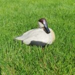 carousel-thumb carousel-thumb