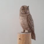 carousel-thumb carousel-thumb