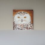 carousel-thumb carousel-thumb