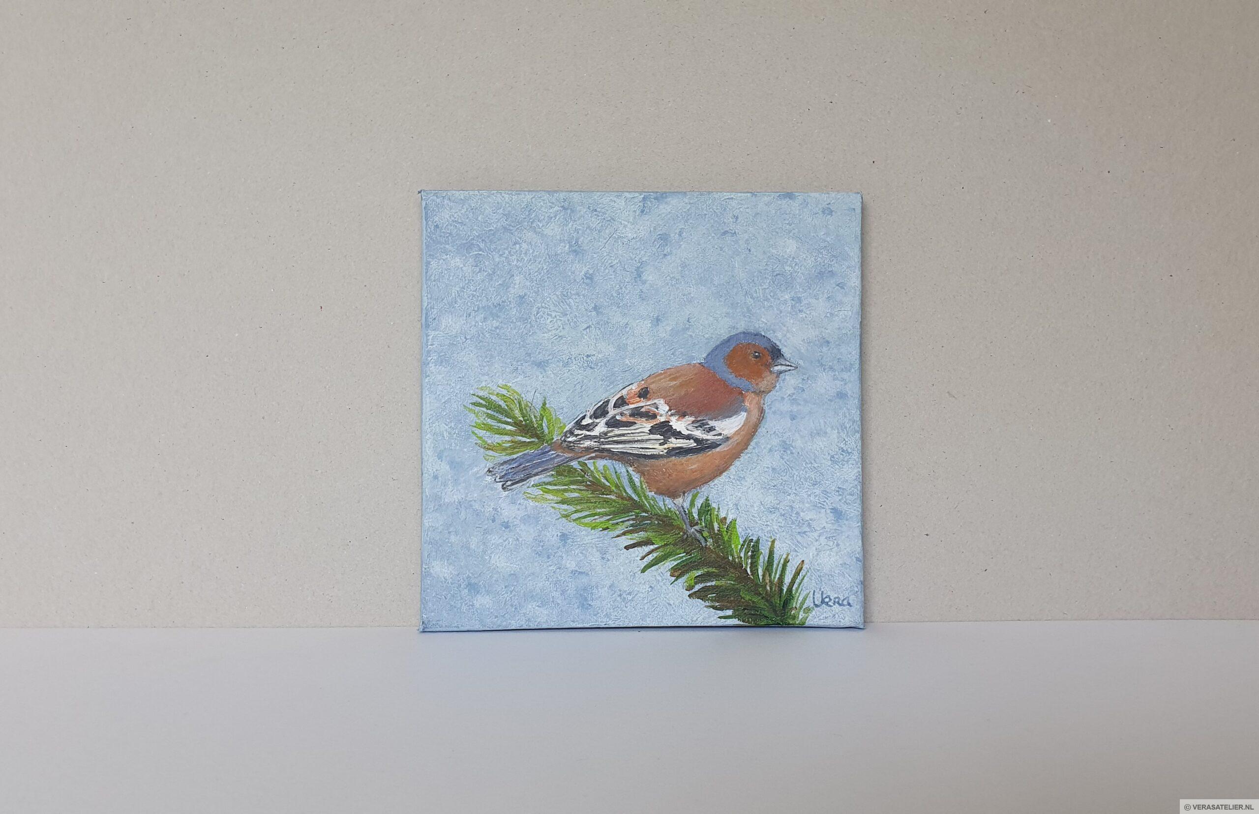 Tuinvogel Vink Tuinvogel Vink