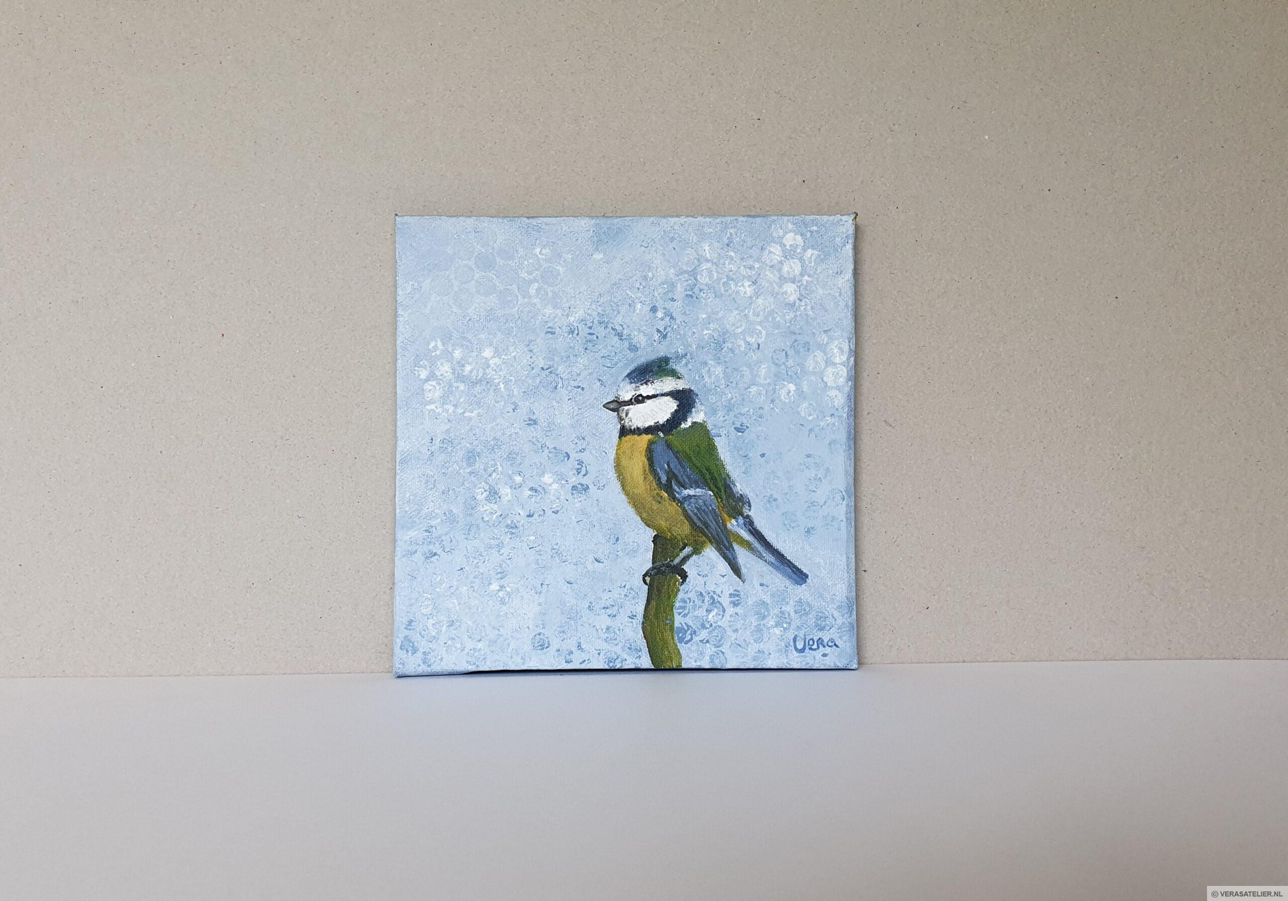 Tuinvogel Pimpelmees Tuinvogel Pimpelmees