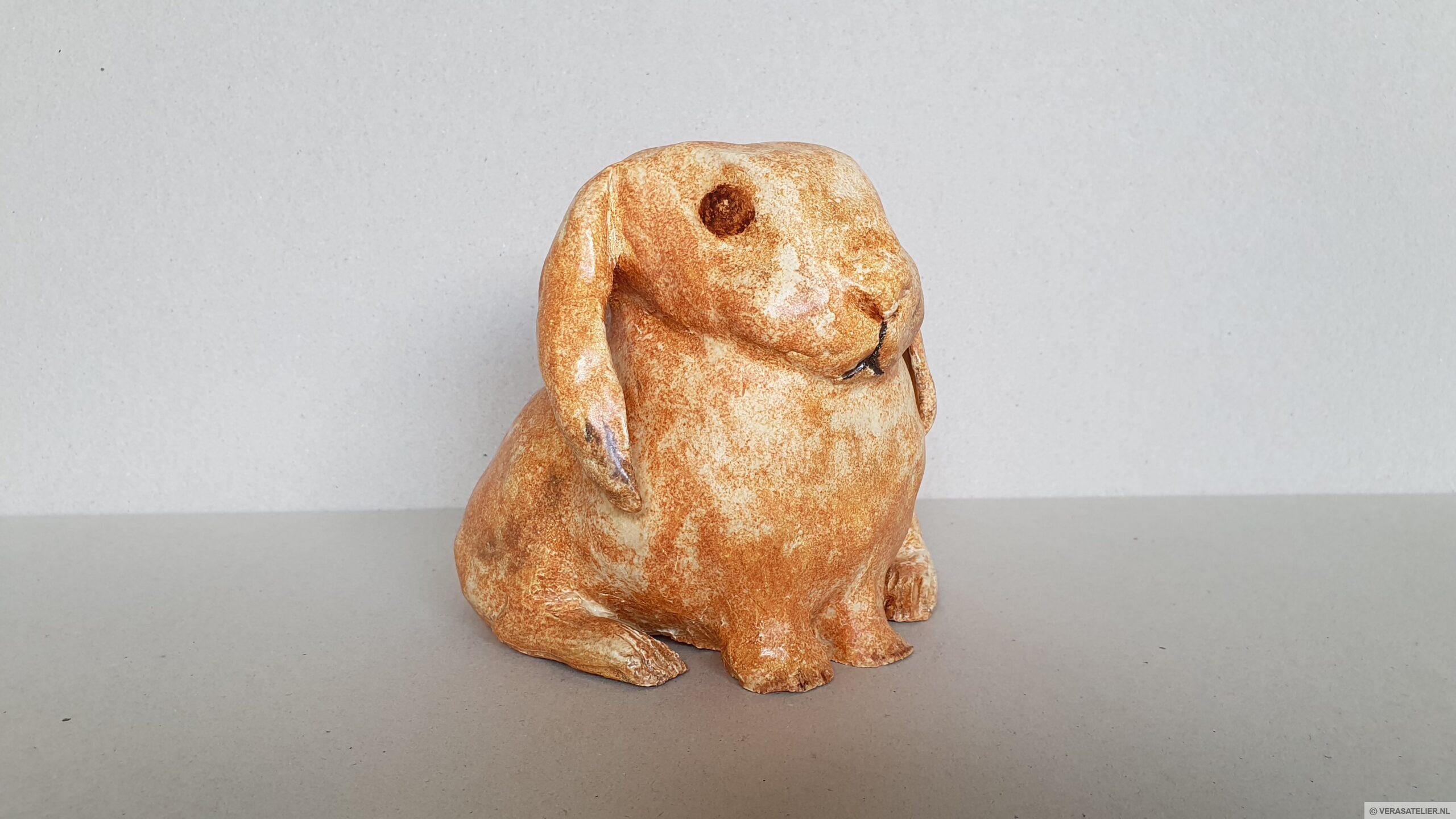 Dwergkonijntje Stampertje Dwergkonijntje Stampertje