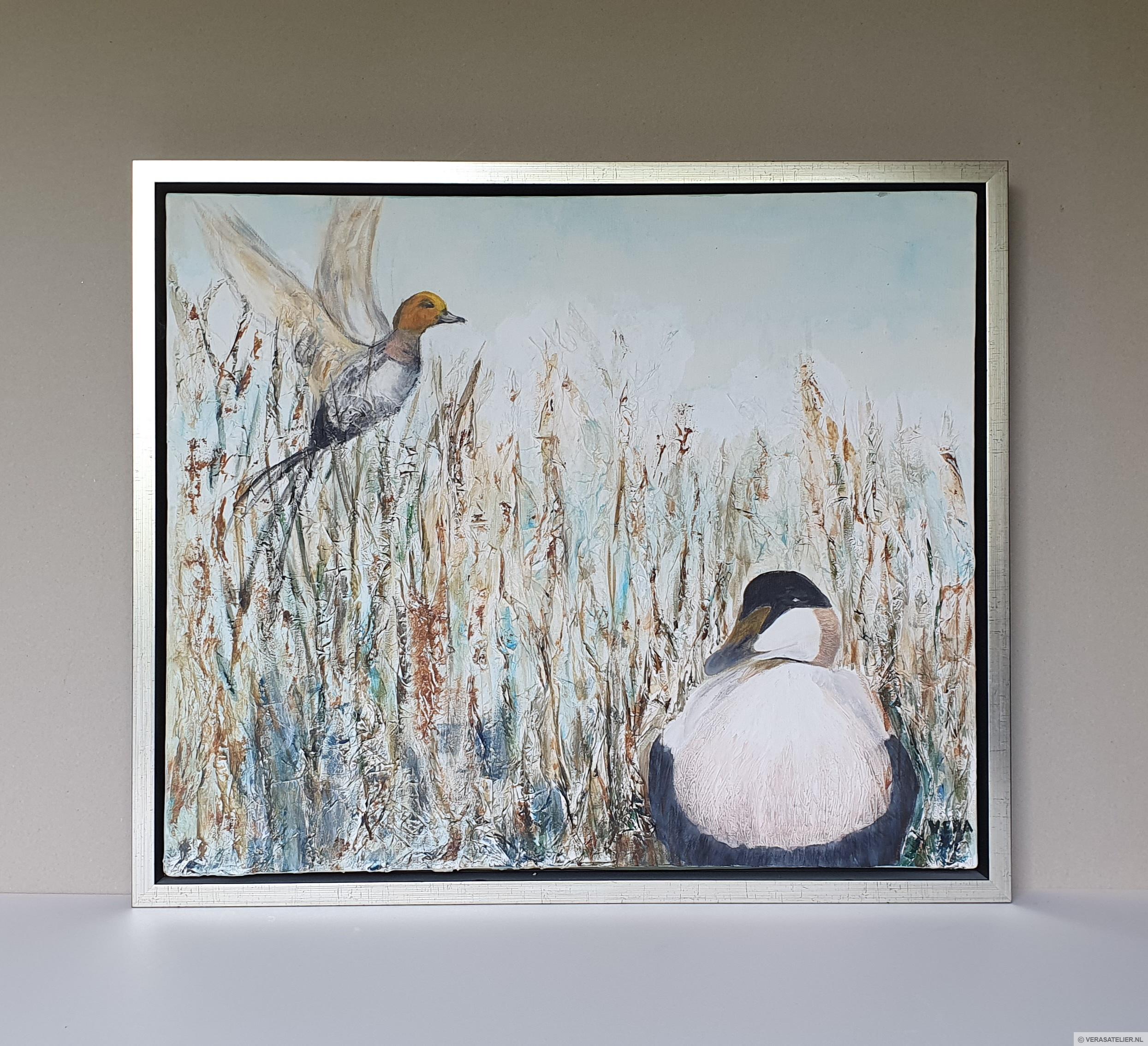 Eidereend 1 Eidereend 1