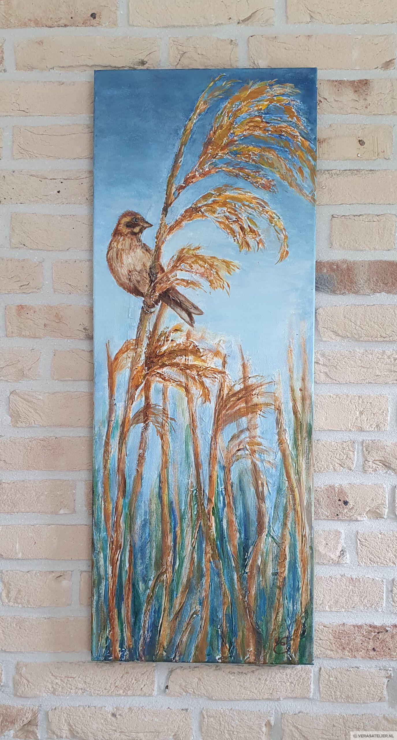Zanger in het riet Zanger in het riet