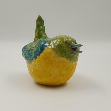 portfolio-image