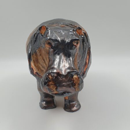 portfolio-image