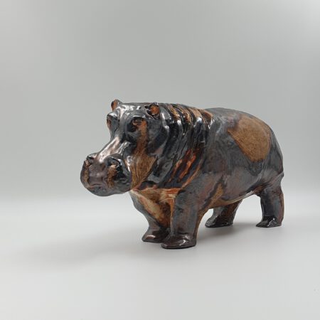 portfolio-image